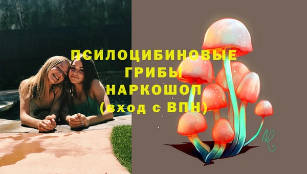 бошки Лабытнанги