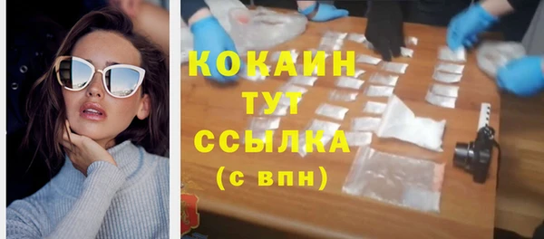 индика Лагань