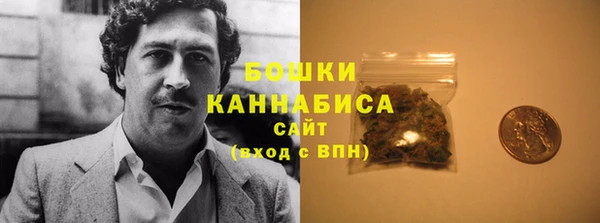 индика Лагань