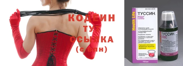 индика Лагань