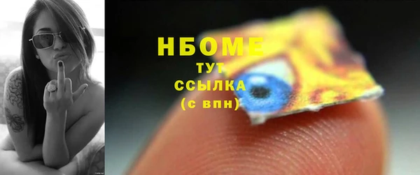 индика Лагань