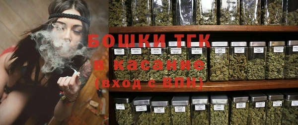 индика Лагань