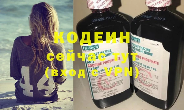 индика Лагань