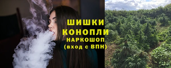 индика Лагань