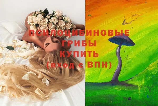 бошки Лабытнанги